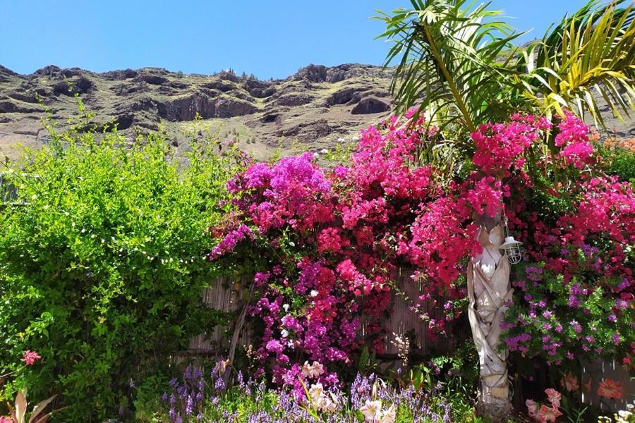 Casa Vista Caldera Βίλα Tijarafe Εξωτερικό φωτογραφία
