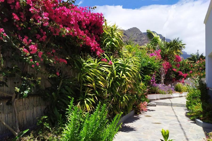 Casa Vista Caldera Βίλα Tijarafe Εξωτερικό φωτογραφία